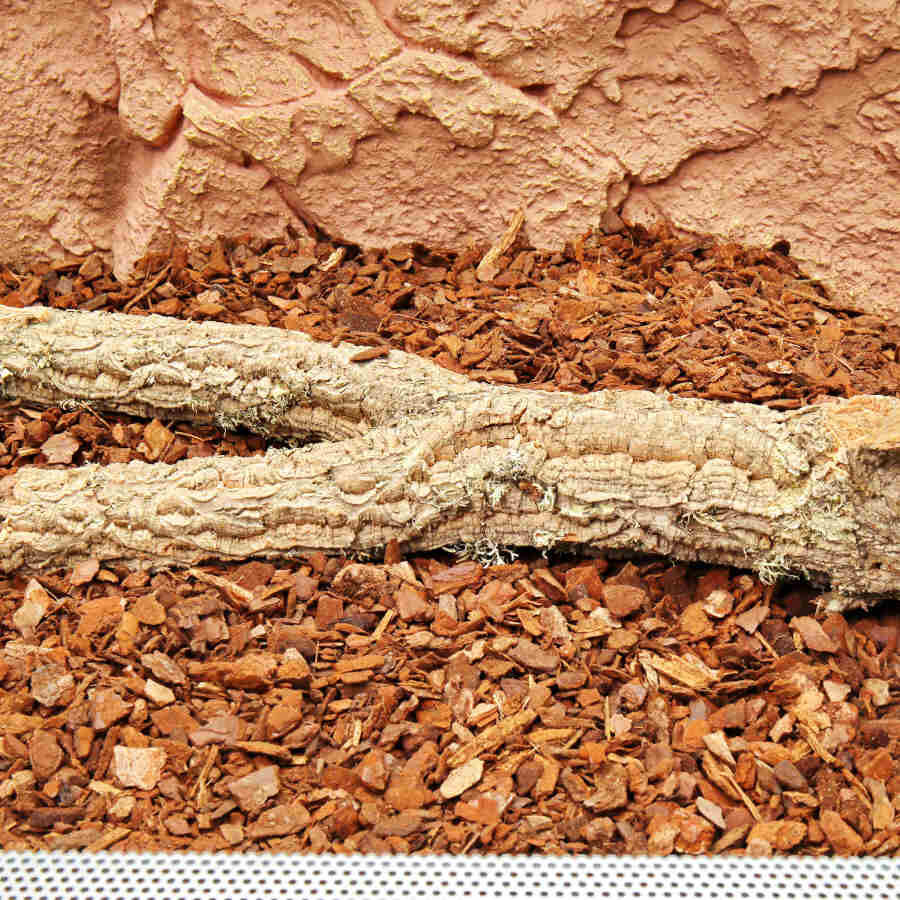 JBL Terra Bark Substrato de casca de pinheiro para terr&aacute;rios , , large Imagem n&uacute;mero 4